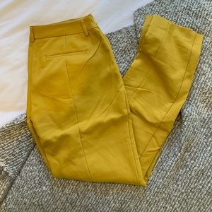 Express Columnist Pant